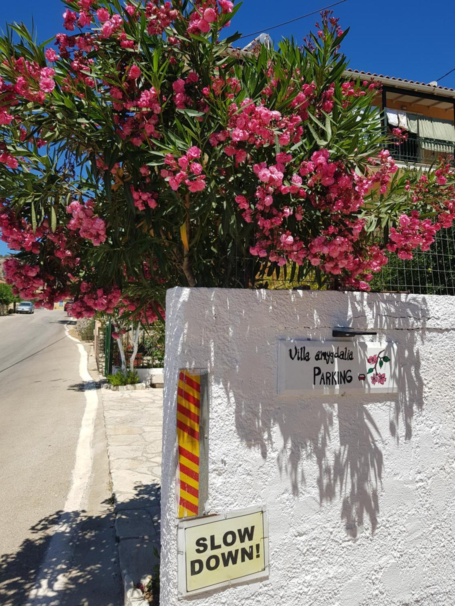 Villa Amygdalia Dilináta Kültér fotó